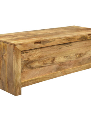 Truhlica 120x45x45 Hina z mangového dreva